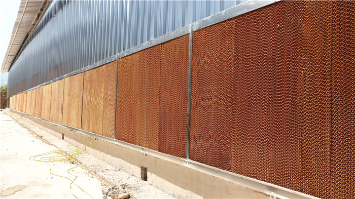 養(yǎng)殖場降溫通風解…